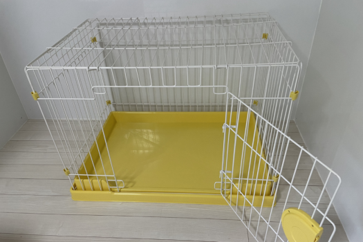 【1日1室限定】ワンちゃんと泊まれるプラン♪