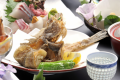 おまかせ海鮮会席【お手頃】プラン