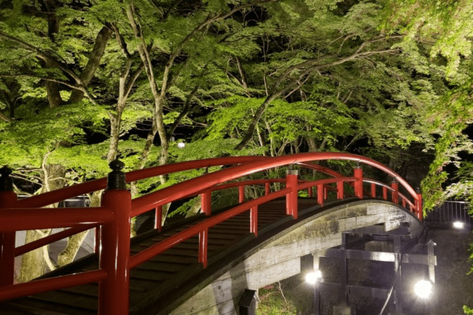 【新緑の河鹿橋】美しい緑に朱色の橋のコントラストが見事。夜にはライトアップも。