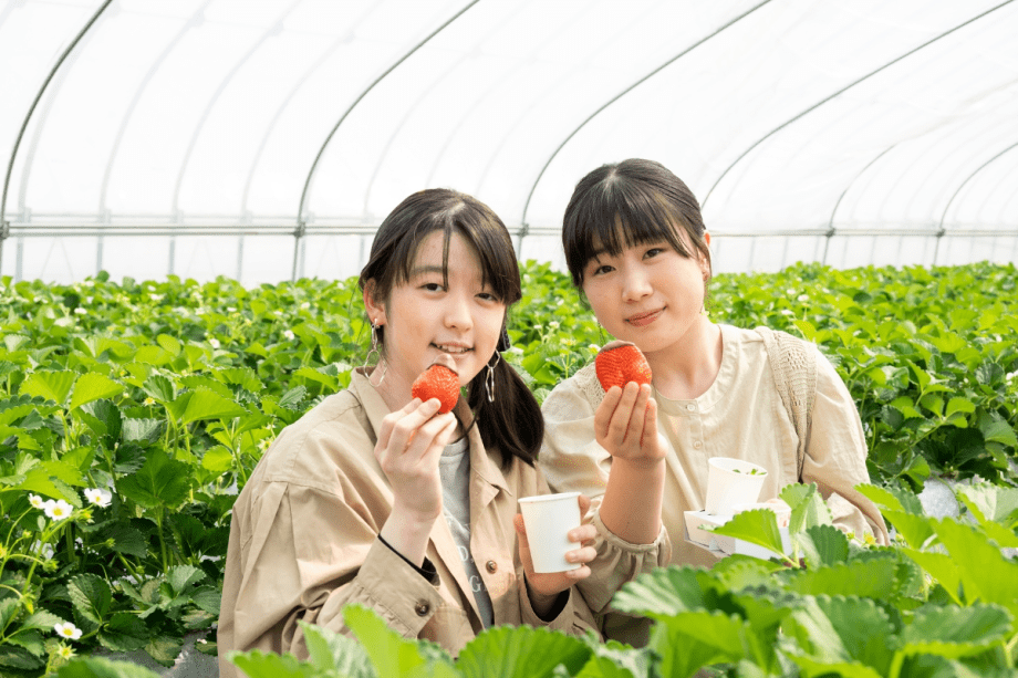 【40分いちご狩り体験付】摘みたて苺が食べ放題「strawberry lab」で旬を味わう春のお出かけ＜2食付＞