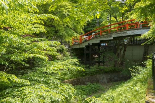 朱色の「河鹿橋」が緑の中で美しいコントラストを見せてくれます。
