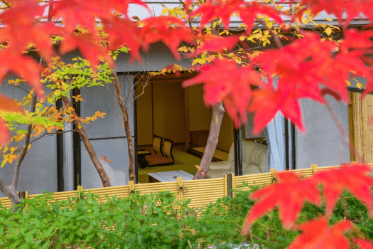 万葉館　庭園付客室　色づくもみじが目の前に。