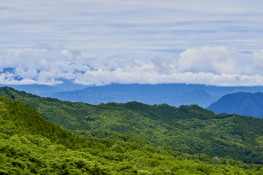 【ふくいち美緑みどりの日 】４～６月お日にち限定〇美しい緑あふれる伊香保を気軽にお楽しみ頂けるプラン