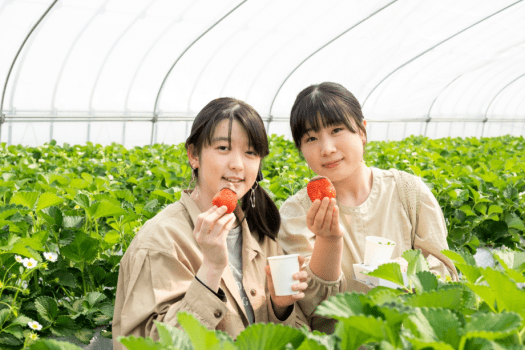 【40分いちご狩り体験付】摘みたて苺が食べ放題「strawberry lab」で旬を味わう春のお出かけ＜2食付＞