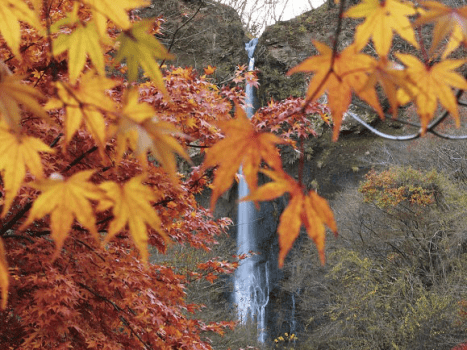 紅葉の船尾滝