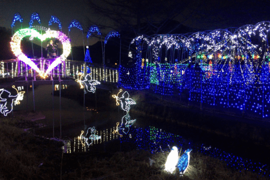 榛名湖イルミネーション