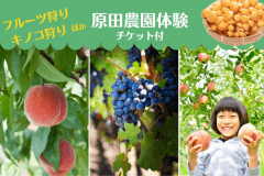 【群馬の“美味しい“を獲れたてで】果物狩り＆キノコ狩りも♪ 「原田農園」体験チケット＋色浴衣特典付＜1泊2食プラン＞