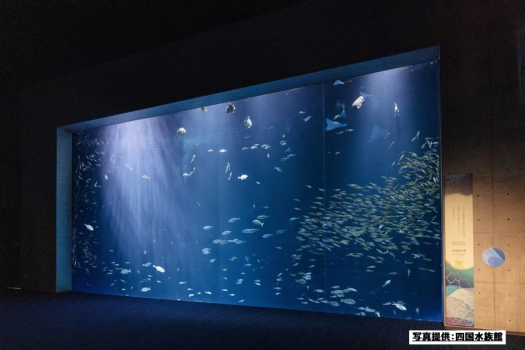 【四国水族館】綿津見の景