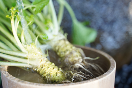 初めて利用におすすめ「キンメ・鮑・伊豆牛　伊豆の3大味覚」を満喫プラン