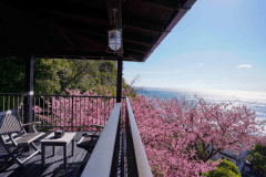 201　海の庭（うみのにわ）