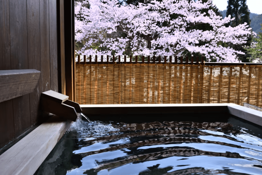 〓3月・4月・5月〓 春の翠泉流会席と湯けむりの癒し ～心ほどける春旅～（二食付）