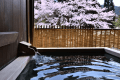 〓3月・4月・5月〓 春の翠泉流会席と湯けむりの癒し ～心ほどける春旅～（二食付）