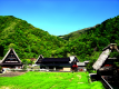 深緑の菅沼合掌造り集落