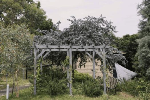 【共有スペース】ガーデン