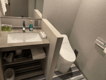 デラックスセミダブル（洗面台）