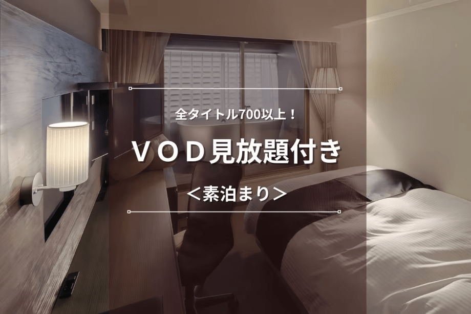 【ＶＯＤ見放題付き】全タイトル700以上を無料で見放題！お部屋でゆっくりのんびりステイ＜素泊まり＞