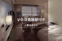 【ＶＯＤ見放題付き】全タイトル700以上を無料で見放題！お部屋でゆっくりのんびりステイ＜素泊まり＞