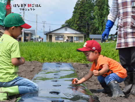 とくに小さいお子様連れの方、農業初心者の方におすすめです!