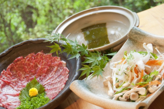【 イチオシ 】馬しゃぶ・馬刺し！2種の馬料理を味わう熊本限定グルメプラン