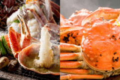 越前がに（焼き+刺身、ゆで蟹）
