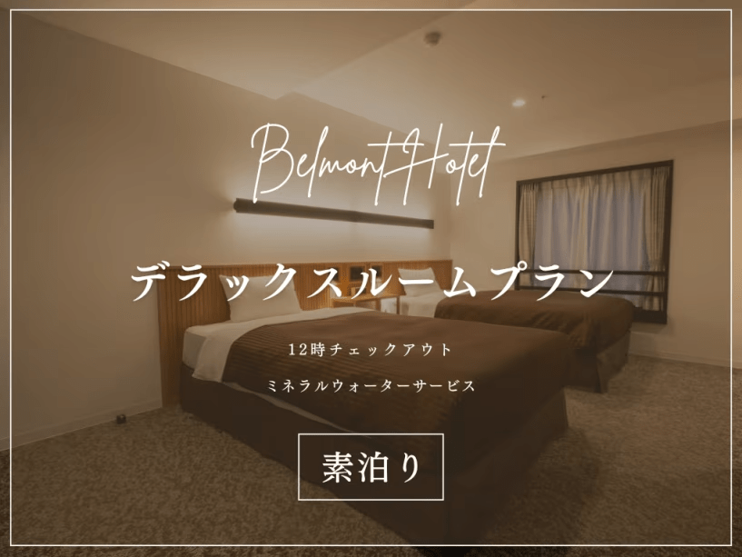 【12時OUT/ミネラルウォーターサービス】デラックスルームプラン（素泊まり）