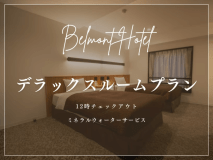 【12時OUT/ミネラルウォーターサービス】デラックスルームプラン（素泊まり）