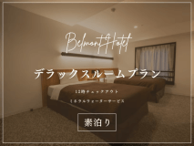【12時OUT/ミネラルウォーターサービス】デラックスルームプラン（素泊まり）