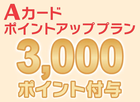 【朝食付】Aカード3000ポイント付-新潟の旬を楽しむ、選べる和洋食