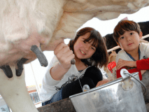 マザー牧場は当館から車で約30分になります。