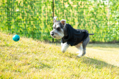 🐾【ペット同伴可】■グランシアドーム■<ドッグ>6Mドーム・ドッグラン・天然温泉付 🐾【ペット同伴可】■グランシアドーム■<ドッグ>6Mドーム・ドッグラン・天然温泉付