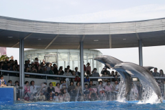 【家族旅行応援】動物たちとふれあえる水族館♪「うみたまご」チケット付プラン（朝食付）