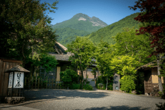 懐かしい風情の茅葺き屋根