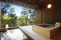 [Day trip hot spring & lunch] Restaurant use - Kunugizen