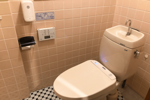 Toilet in a guest room.