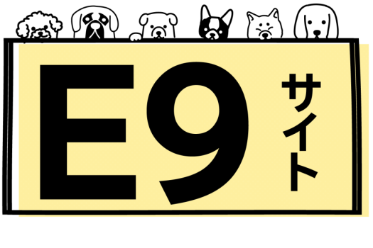 E９サイト