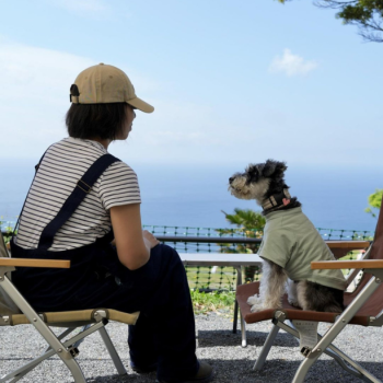 目の前に広がる大海原
絶景を眺めながら
​キャンプ最高！なひと時を。
（E6サイトから撮影）