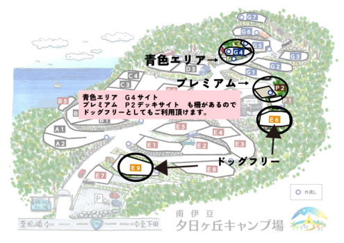 ドックフリー