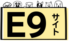 E９サイト