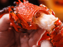 【特別日☆豪華伊勢海老＆鮑会席】伊勢海老１尾＆鮑１杯も付くぞ♪当館自慢の宝楽焼き＆舟盛！！＜＜貸切家族風呂無料＞＞＜オンライン決済限定＞