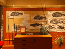 【２階海側客室／禁煙】和室１０～１２畳