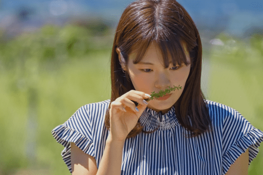 鮮やかな色彩、香りや手触り、五感を刺激しましょう