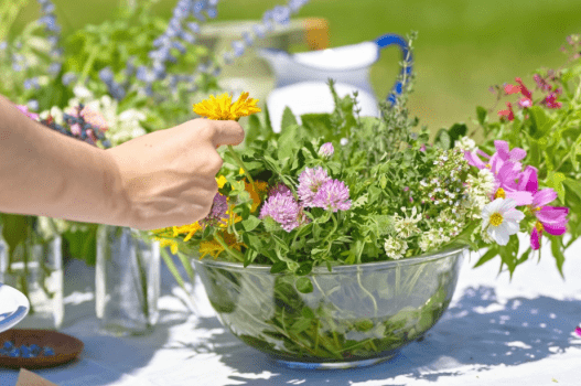 無農薬の数十種類のハーブや季節の花を選びます