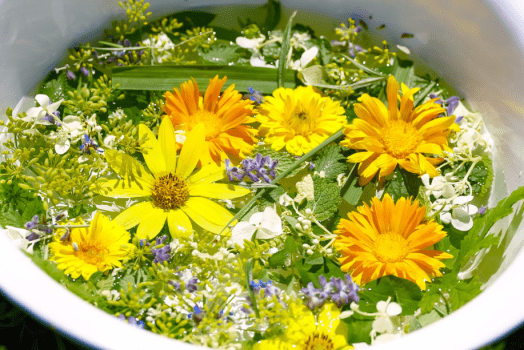 心身の癒し体験をぜひ安曇野で