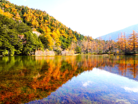 伏流水や湧水を集めた明神池は、氷結しないことで知られ、古くは「鏡池」とも称されて四季折々の風景が水面に映し出されます