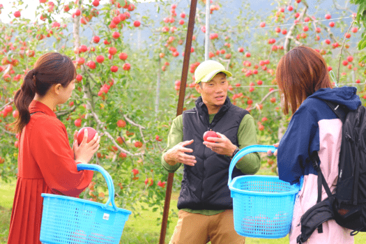 園主がりんご収穫のコツを丁寧にレクチャーします