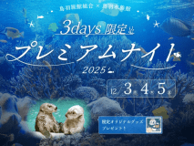 鳥羽水族館でのナイトアクアリウム（18：45～20：45）をお楽しみいただけます。