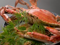 ★【スタンダード】竹崎かに付き季節の会席プラン