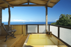 【くつろぎの和室】富士 個室露天風呂