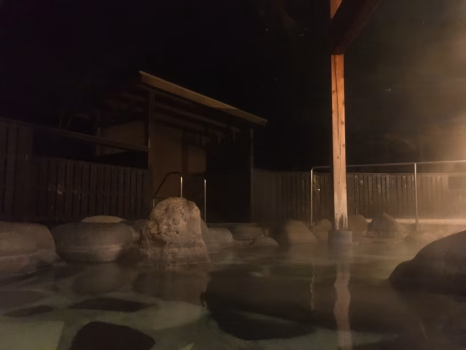 1泊2食付き☆気ままにひとり旅♨️HP限定特典付き！