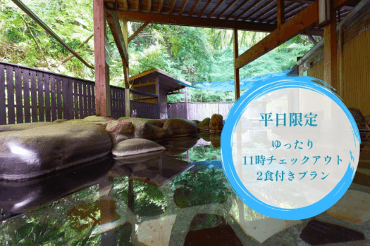 [期間限定]16時以降チェックインゆったり11時チェックアウト1泊2食プラン